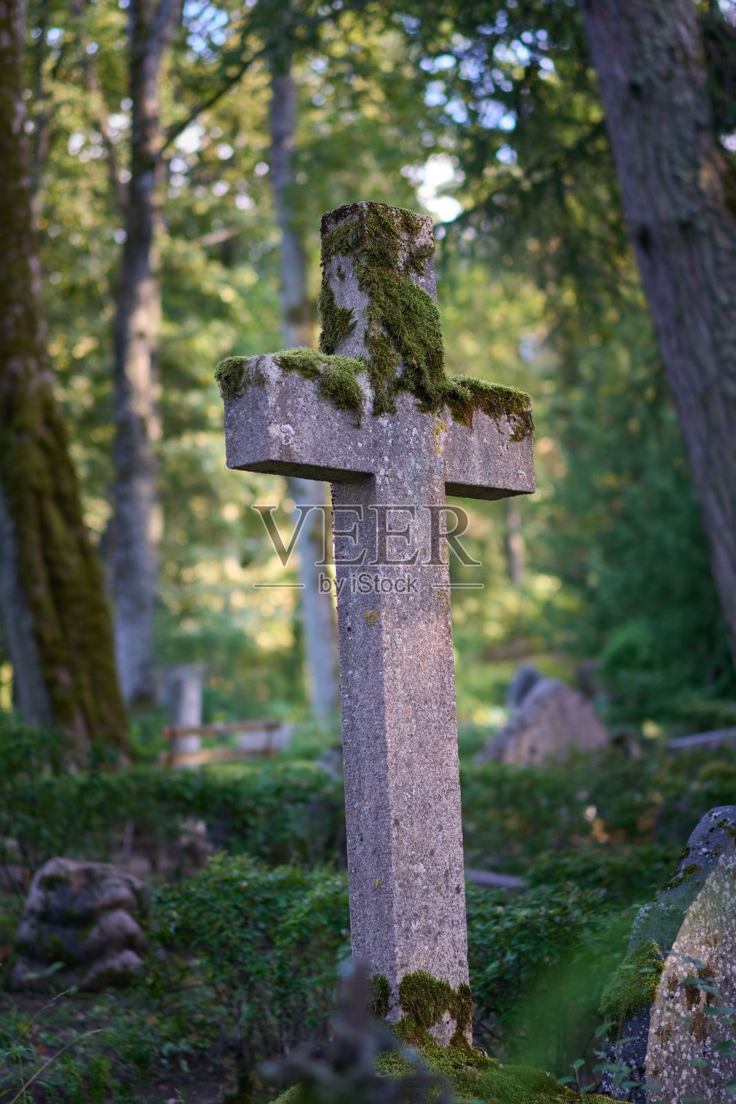 垂直拍摄的一个覆盖着青苔的混凝土十字架在一个古老的墓地照片摄影图片