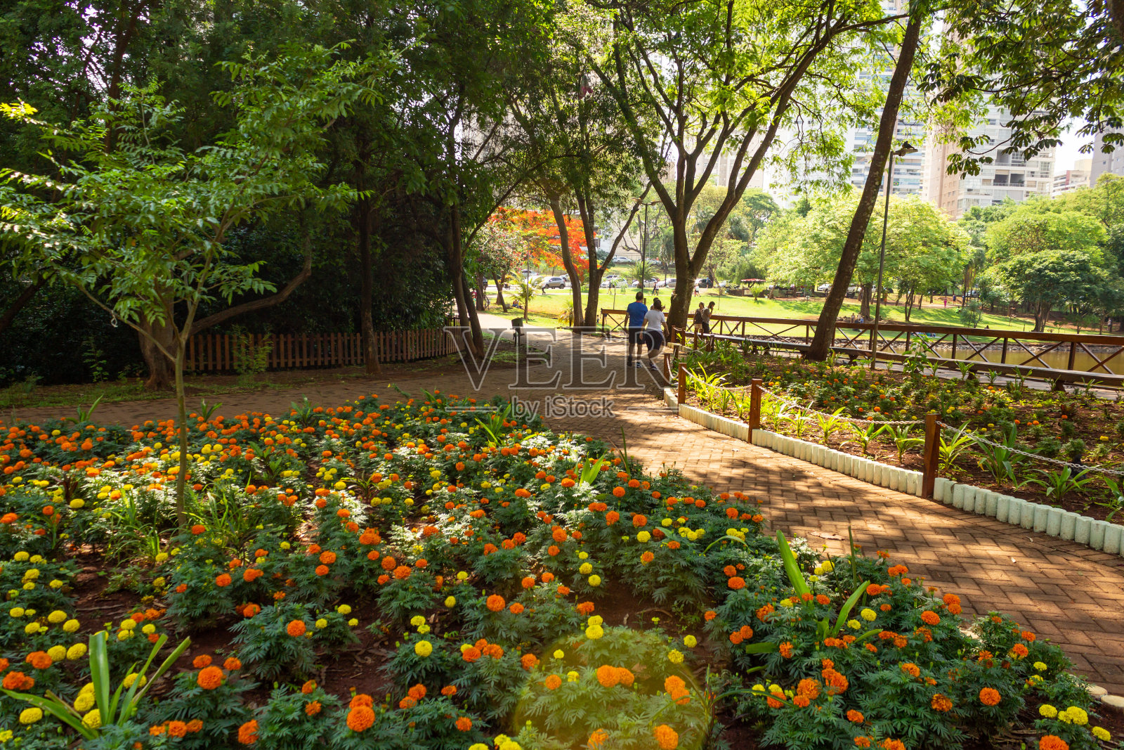 华丽公园照片摄影图片