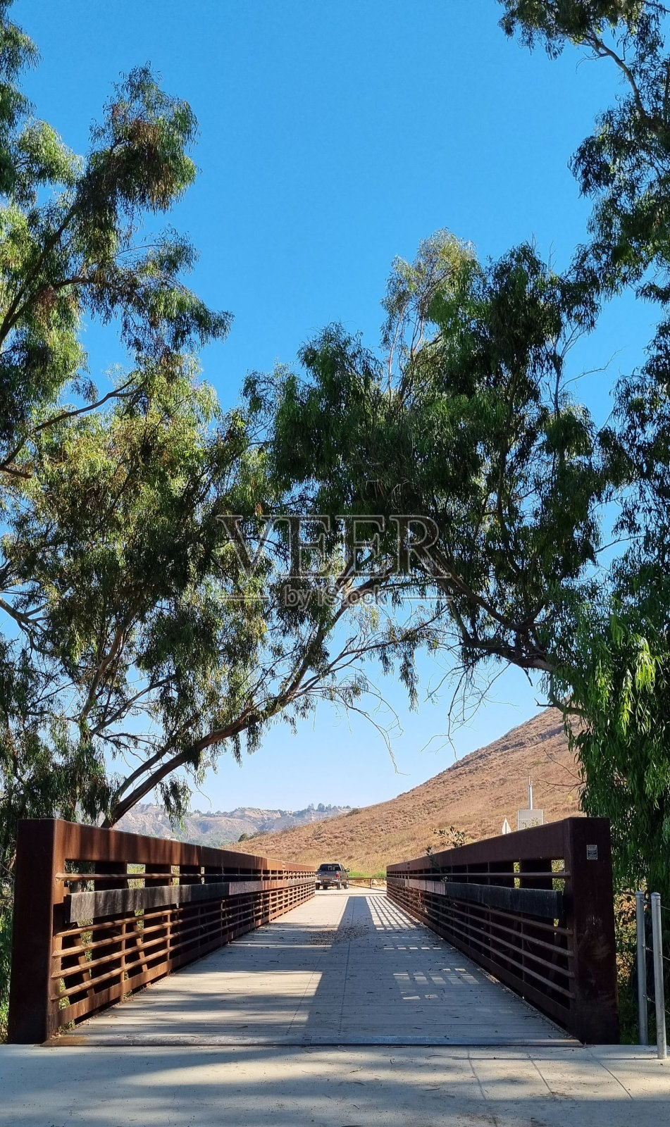 公园里一座以山为背景的桥的垂直拍摄照片摄影图片