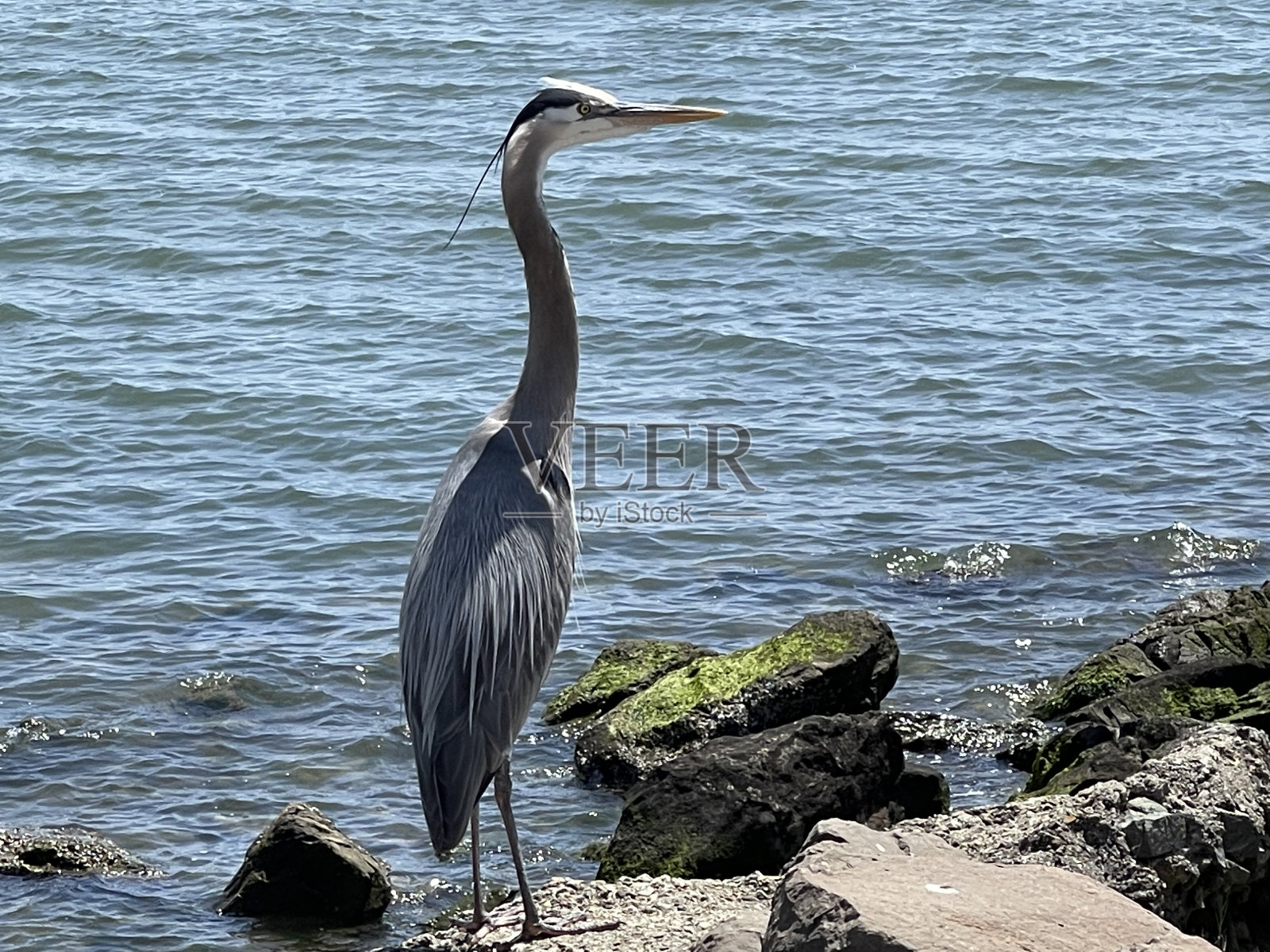 蓝色的起重机的一面照片摄影图片
