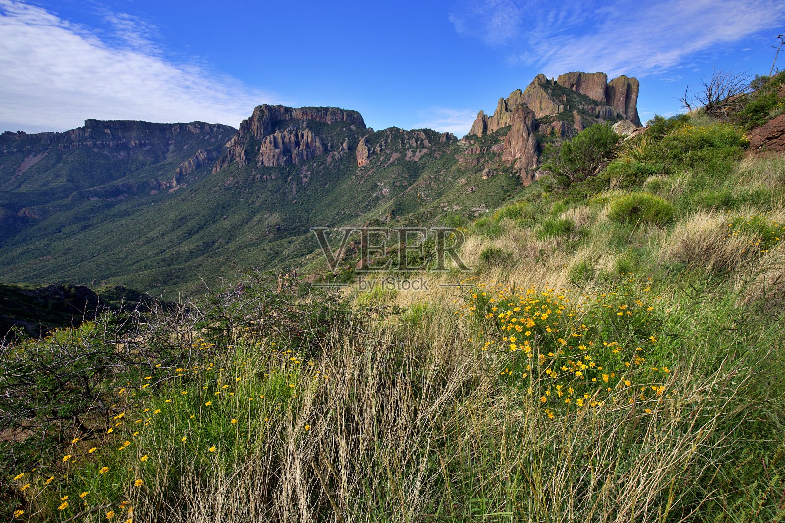 Chisos山场景照片摄影图片