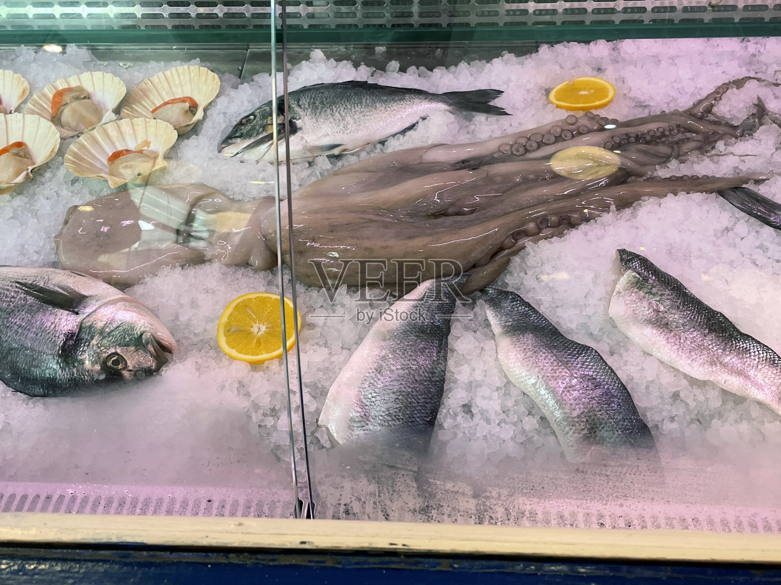 近景图像显示新鲜海鲜包括鱼，章鱼和扇贝在碎冰上保持新鲜玻璃屏幕后，重点在前景照片摄影图片