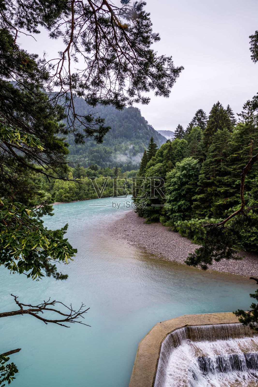 垂直拍摄的水流与绿色植物照片摄影图片