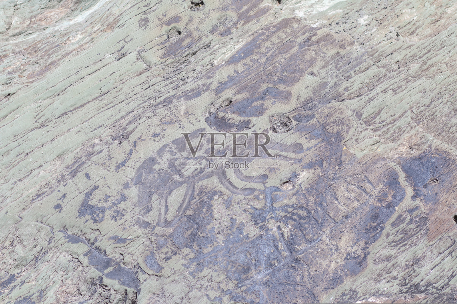 西伯利亚的岩石上雕刻着一个古人。照片摄影图片