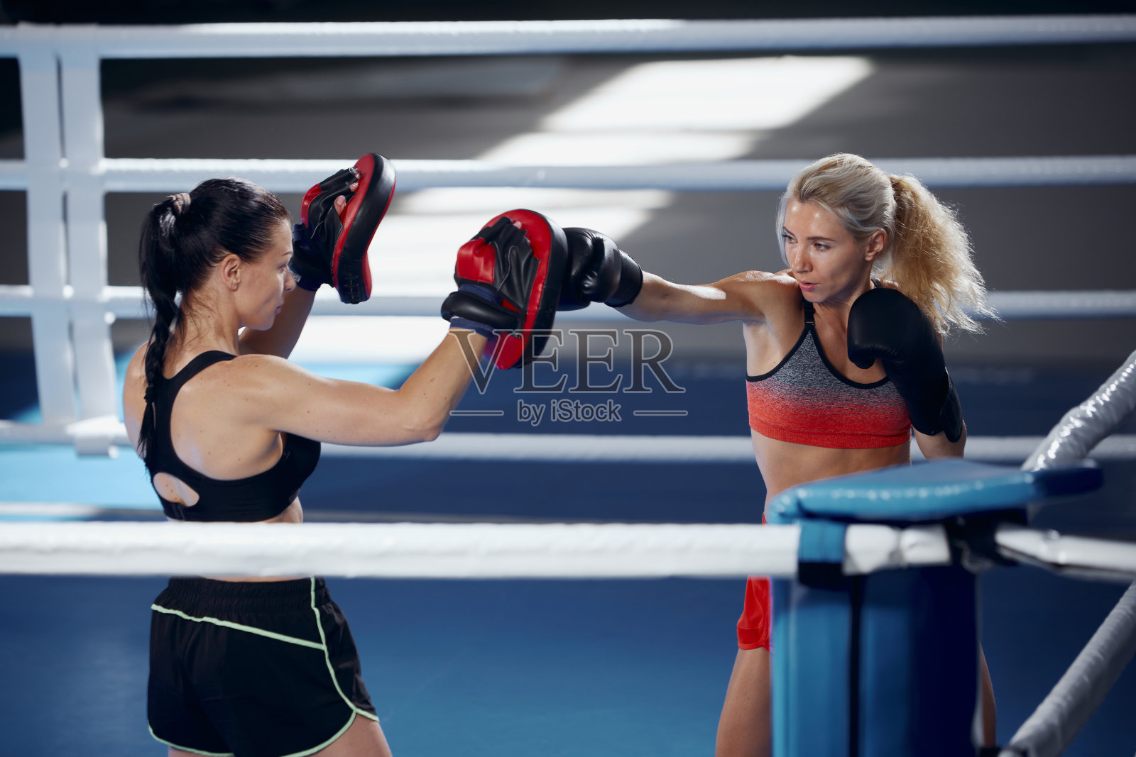 两名职业女拳击手在体育馆里的拳击台上进行拳击。两名肌肉发达的运动员戴着拳击手套进行对打。运动,运动,力量照片摄影图片