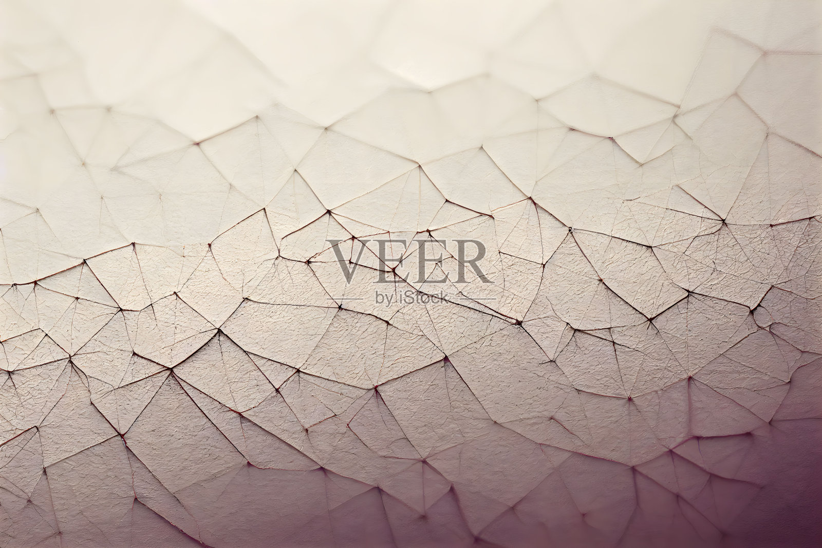 一个开裂的干蛋壳的特写——完美的背景照片摄影图片