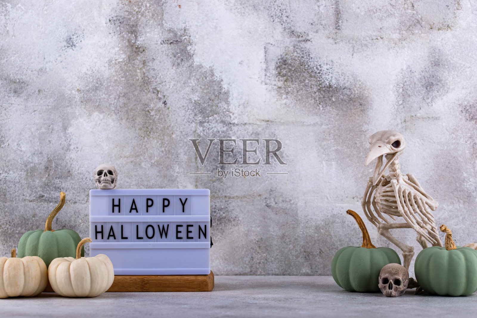 优雅的万圣节搭配白色南瓜照片摄影图片