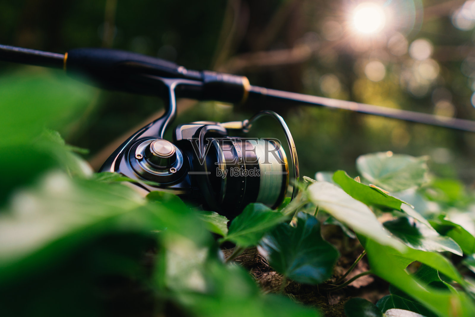 钓鱼卷筒，模糊的背景照片摄影图片