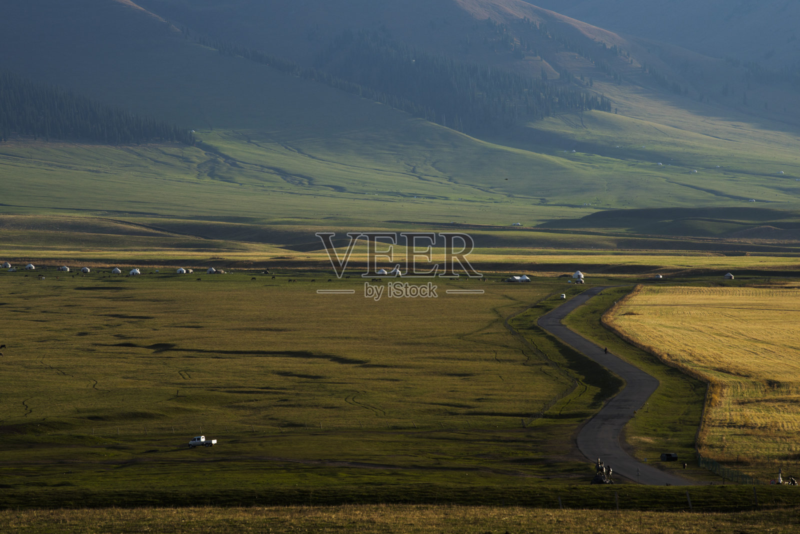 草原的自然景观照片摄影图片