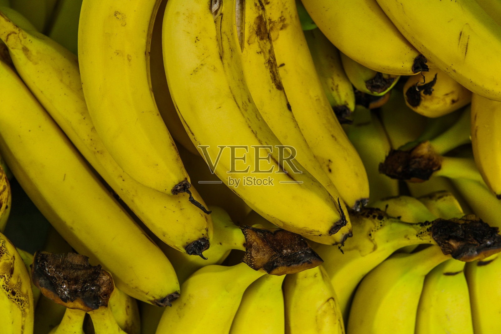澳大利亚香蕉水果照片摄影图片