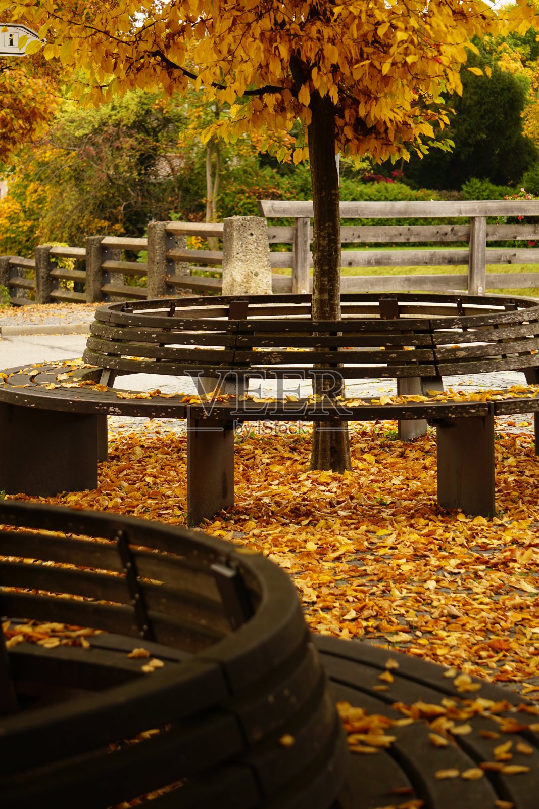 秋天公园里的长椅。秋天公园里的几张长凳。秋叶中圆凳。黄色树叶下的两张圆凳。秋天房门口的长凳照片摄影图片