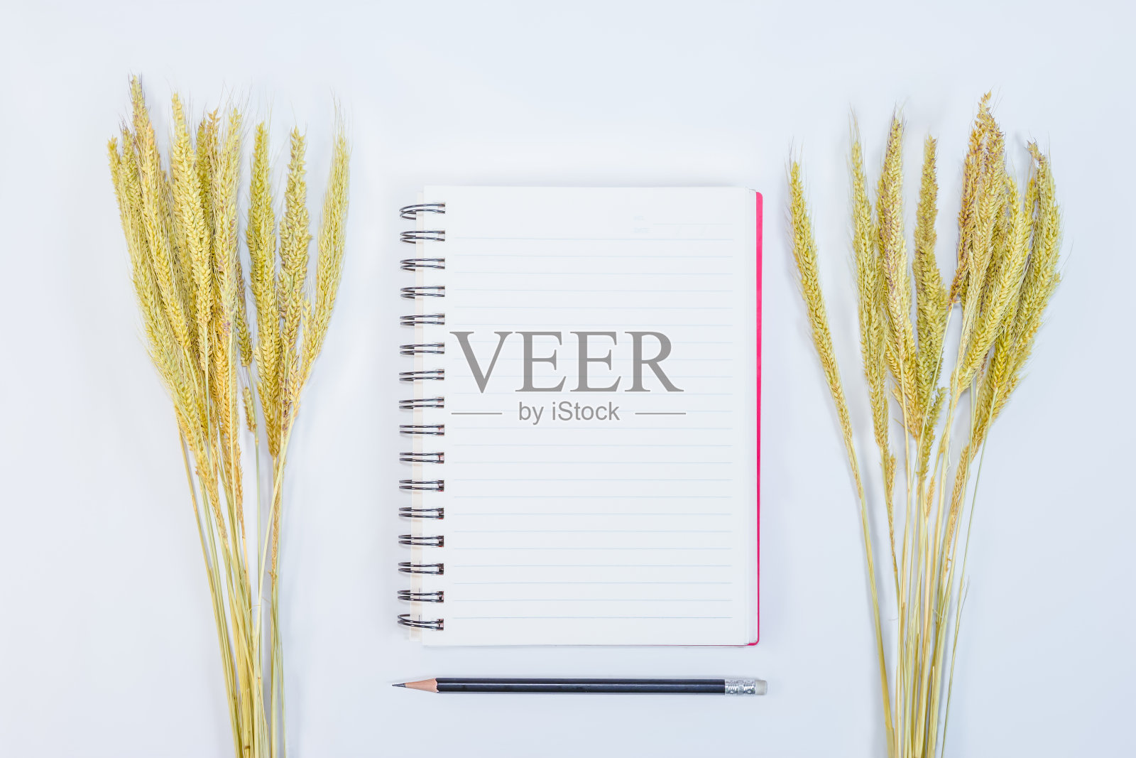 打开笔记与铅笔和草花的背景照片摄影图片