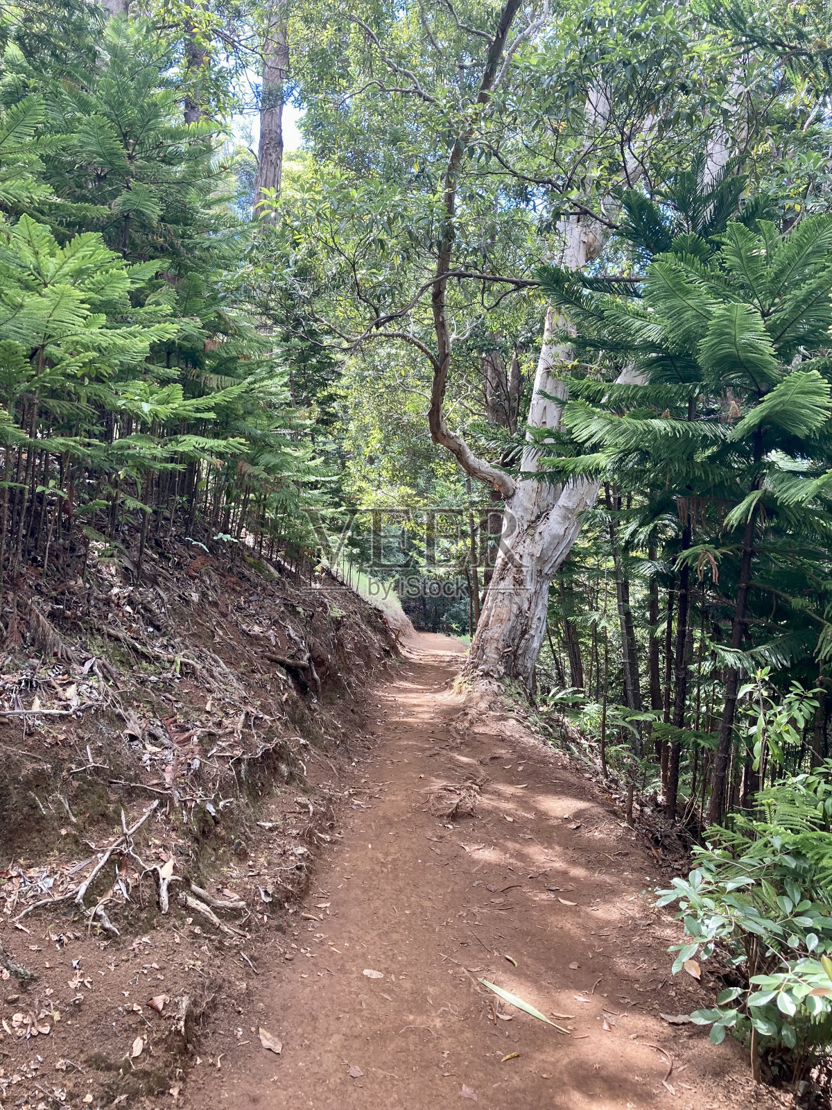 追踪到某个地方照片摄影图片