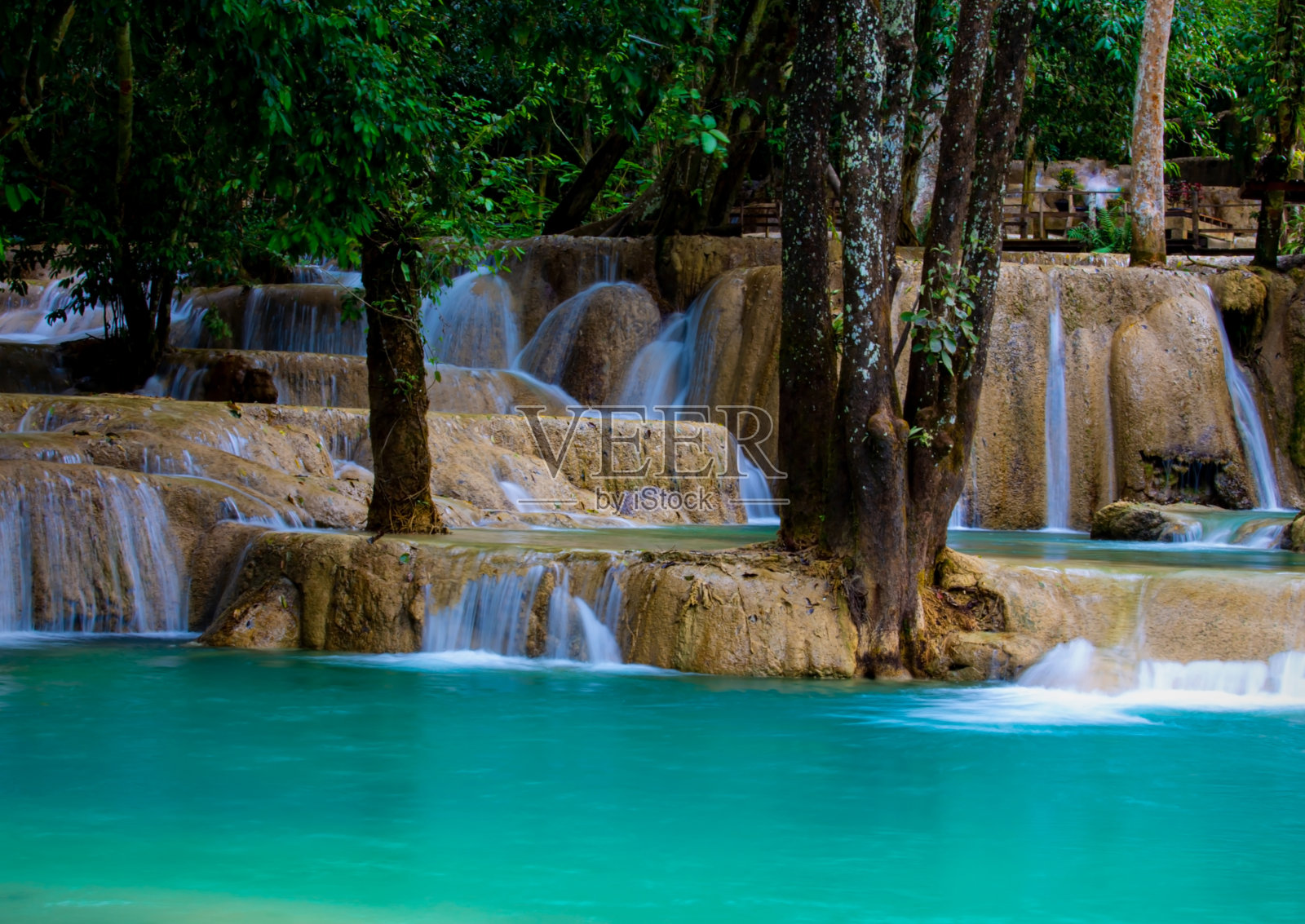 绿色生态的丛林，瀑布-河流-岩石-覆盖雨林-瀑布在公园的森林里照片摄影图片