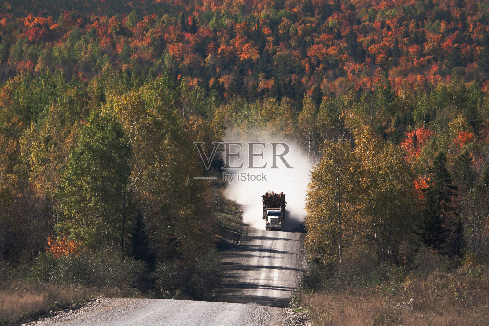 大卡车行驶在乡村道路上，背景是秋天的森林照片摄影图片
