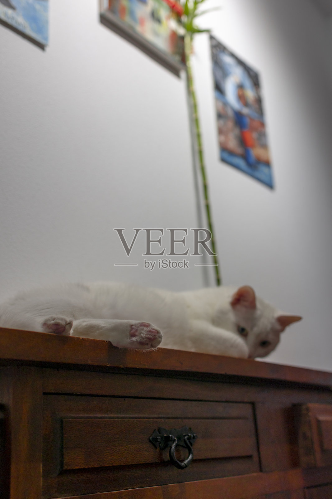 复古棕色抽屉柜，复古把手。照片摄影图片