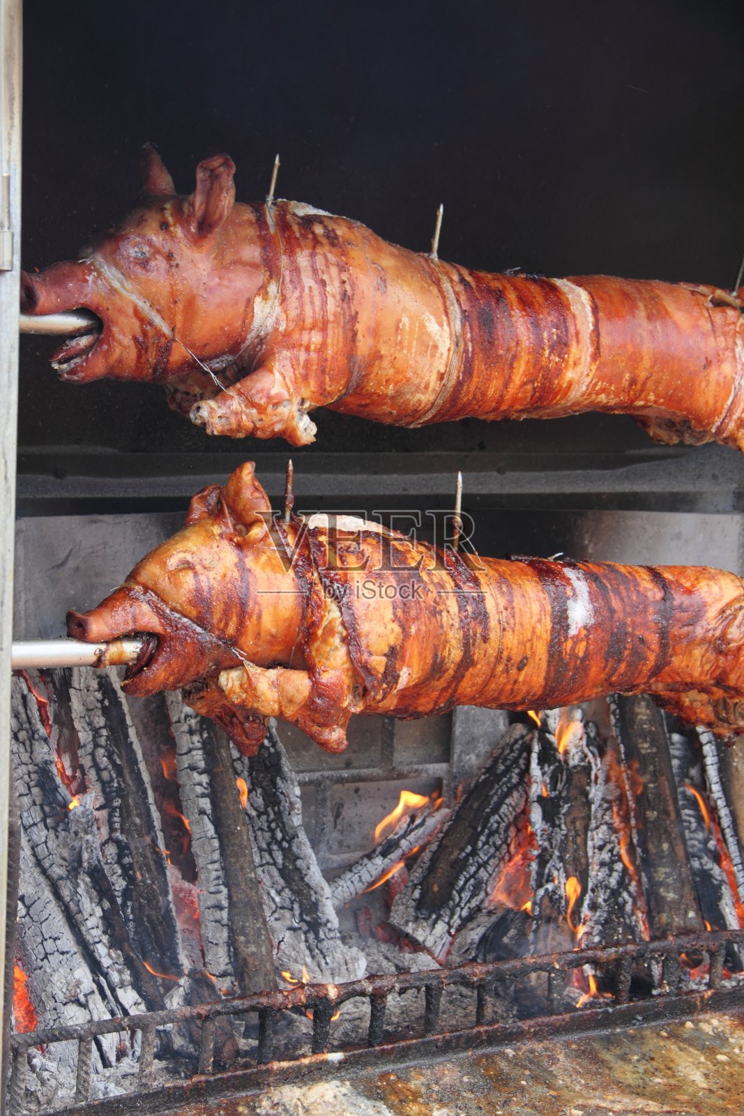 2只烤炉上的乳猪照片摄影图片