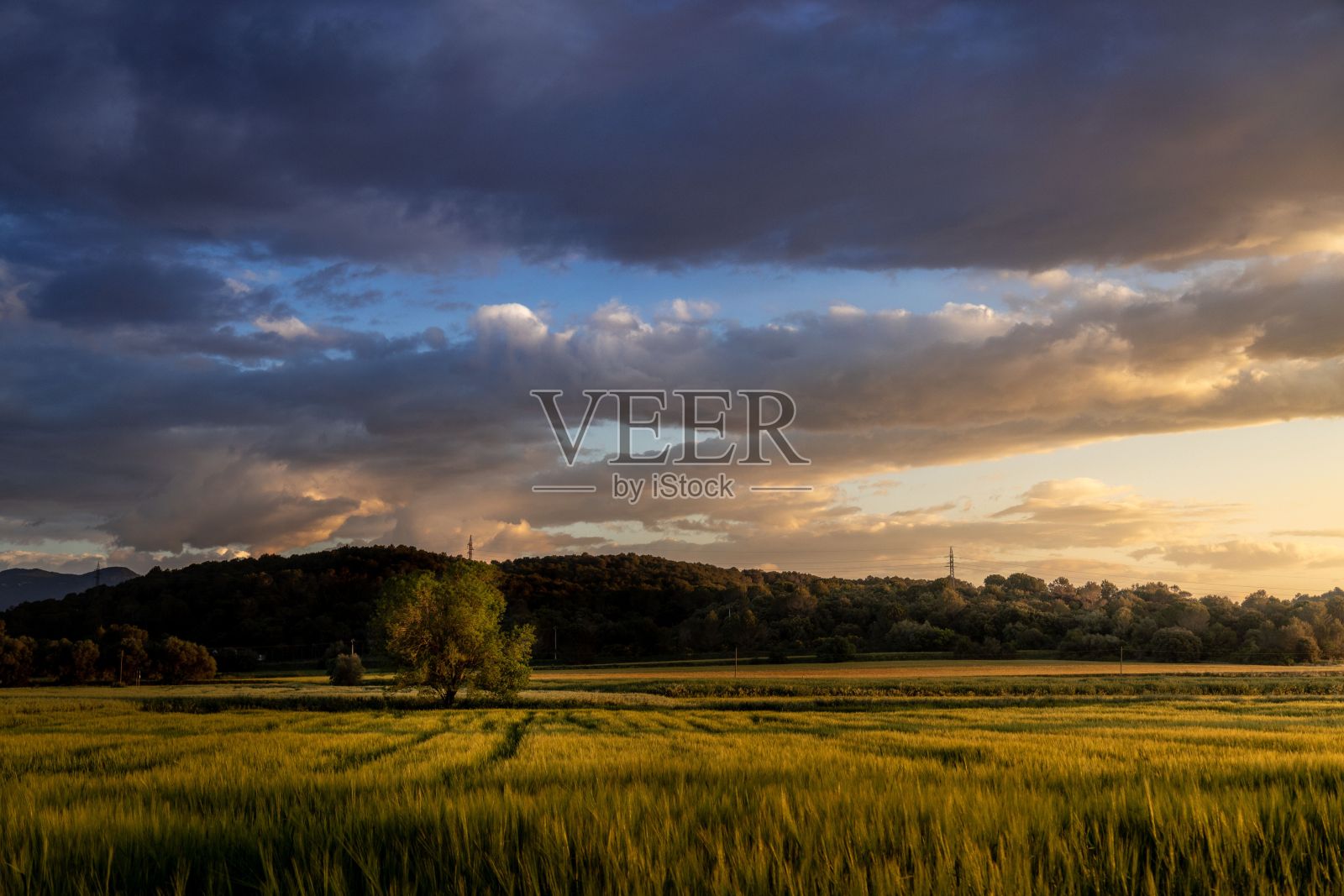 金色的晚霞映在青山绿田上照片摄影图片
