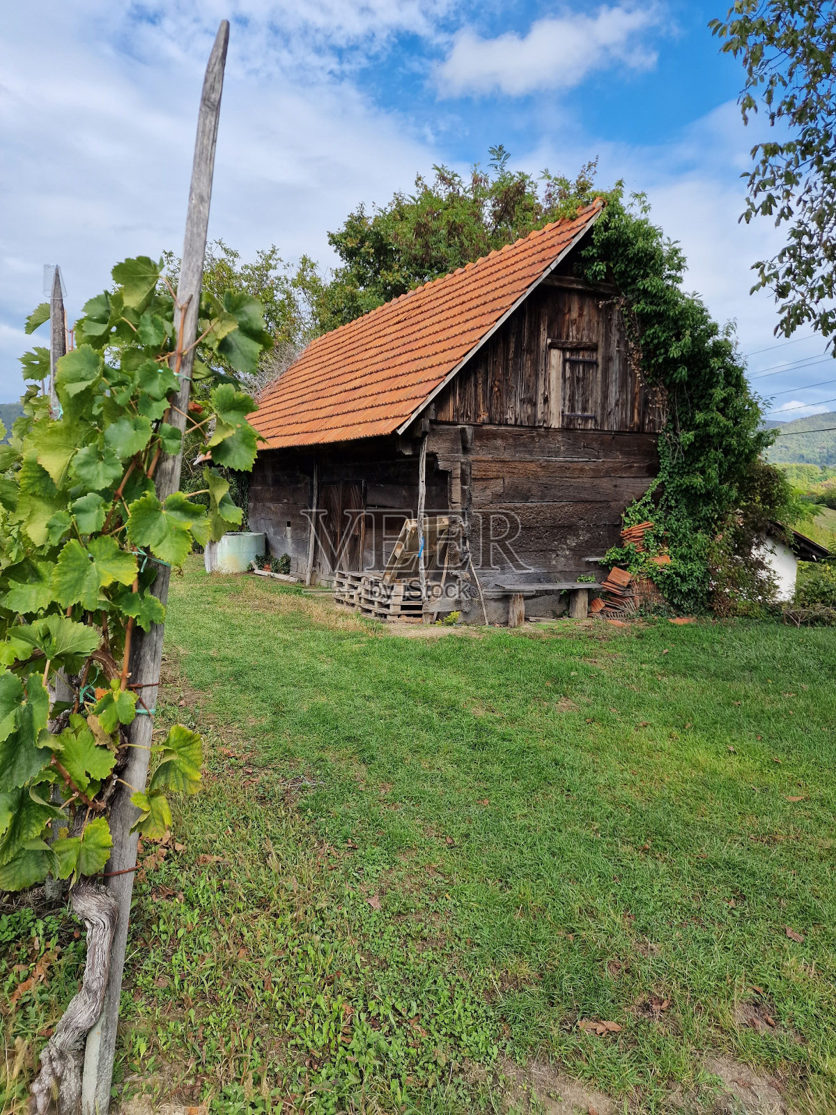 垂直拍摄的一个葡萄园种植园的木屋照片摄影图片
