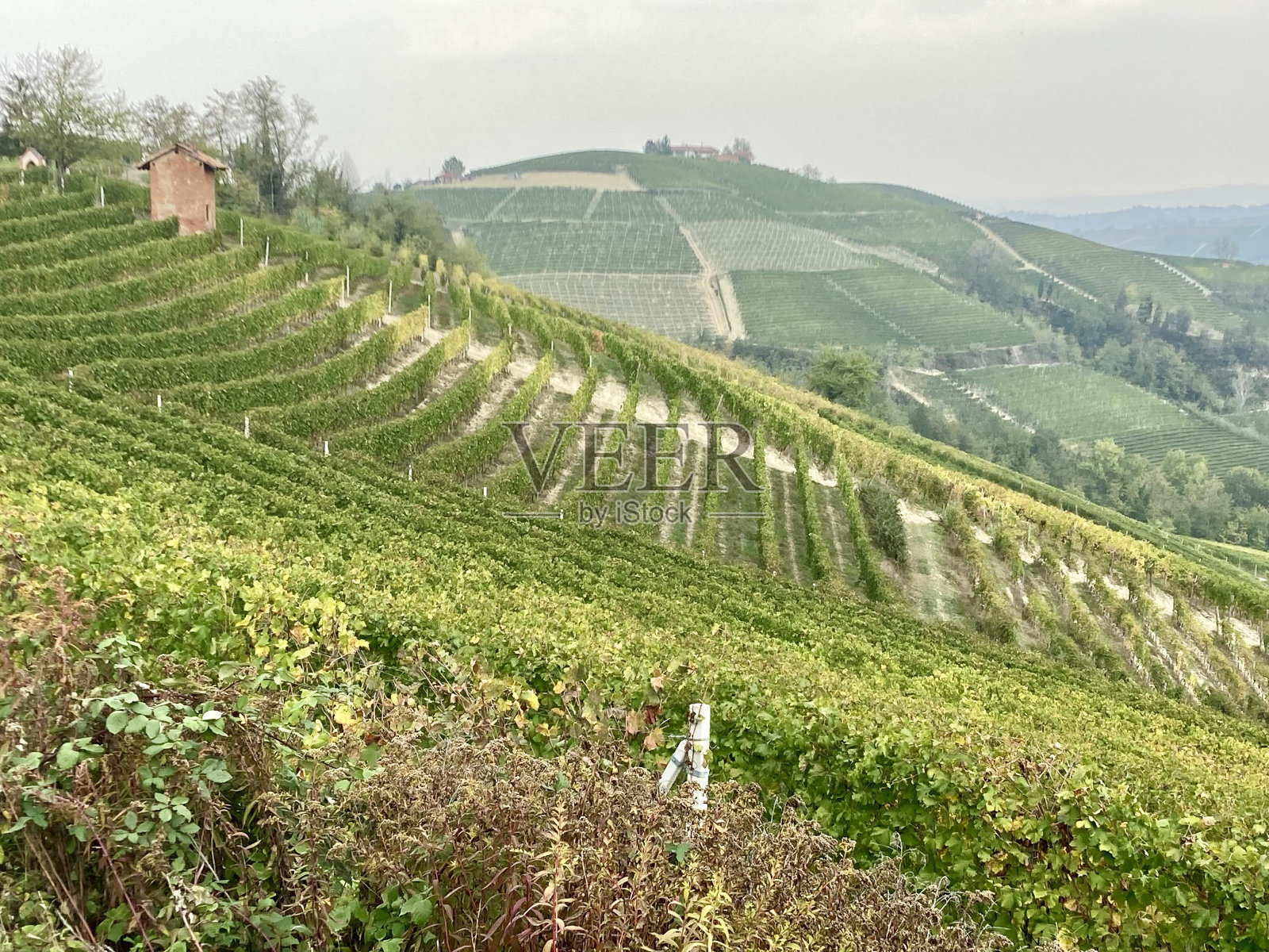 意大利皮埃蒙特大区朗格地区的景观照片摄影图片