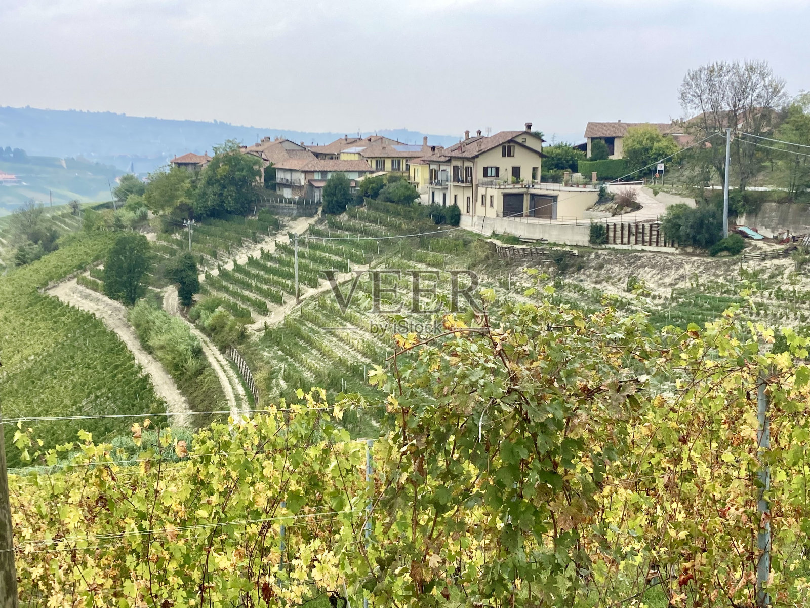 意大利皮埃蒙特大区朗格地区的景观照片摄影图片