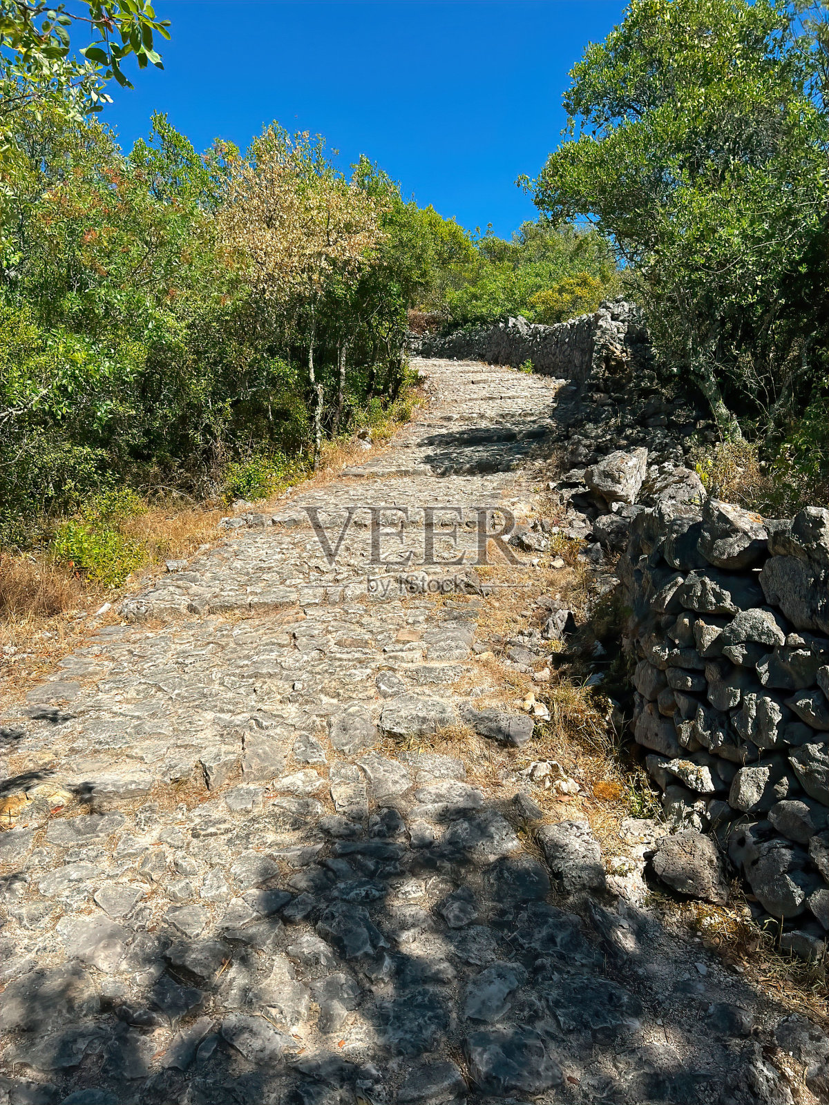 通往Allegre les fumades城堡废墟的上行徒步小径上的景色照片摄影图片