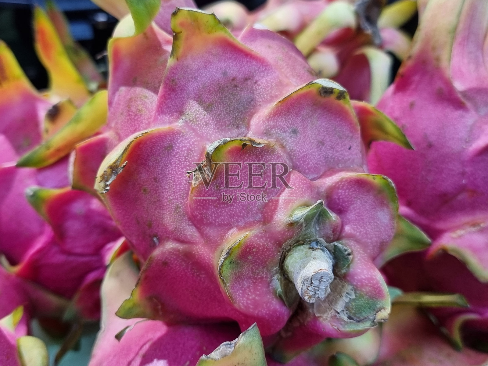 超市里卖很多火龙果。照片摄影图片