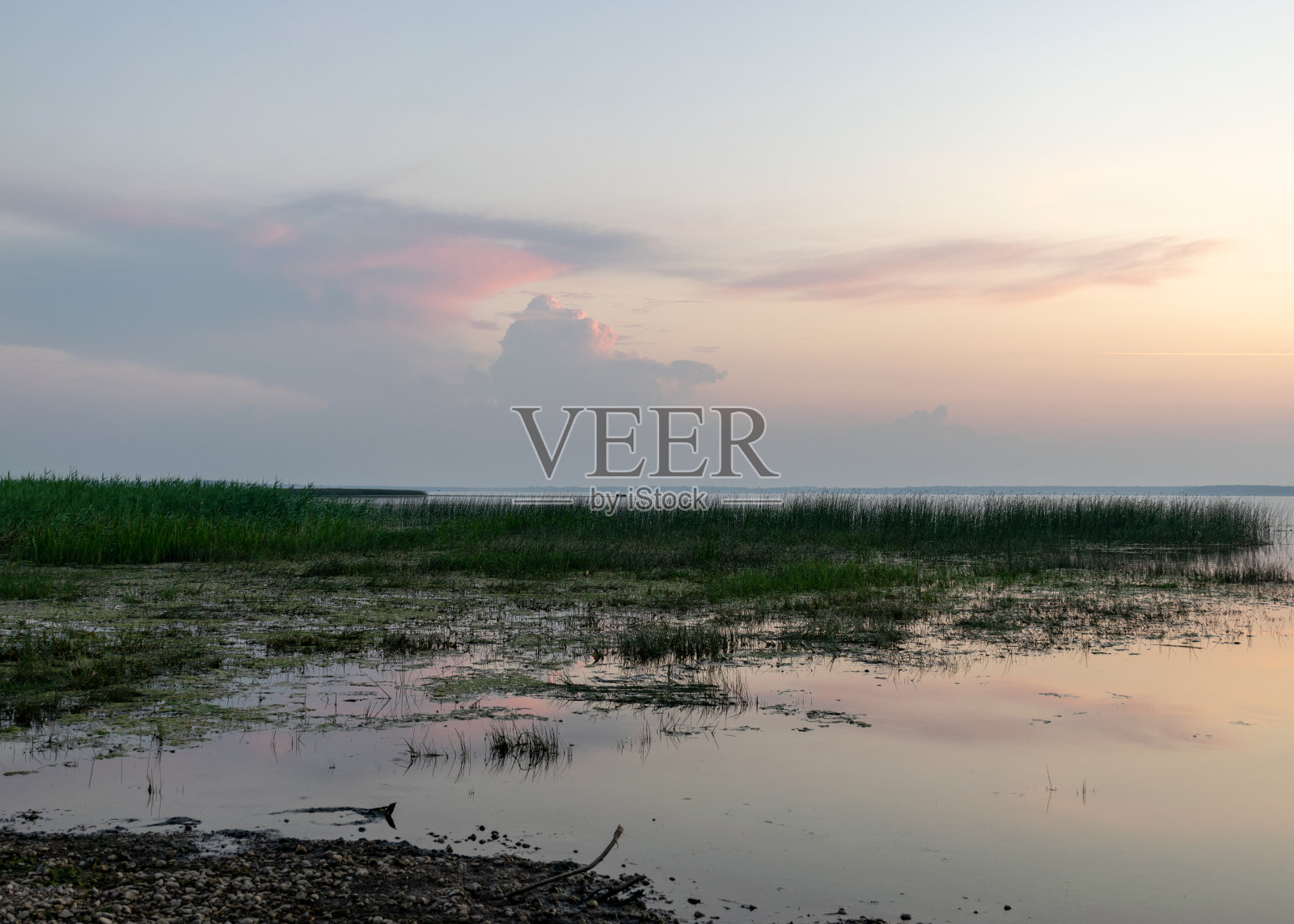 夏日的风景在黎明的湖岸，日出前天空的色彩，拉脱维亚的Burtnieki湖照片摄影图片