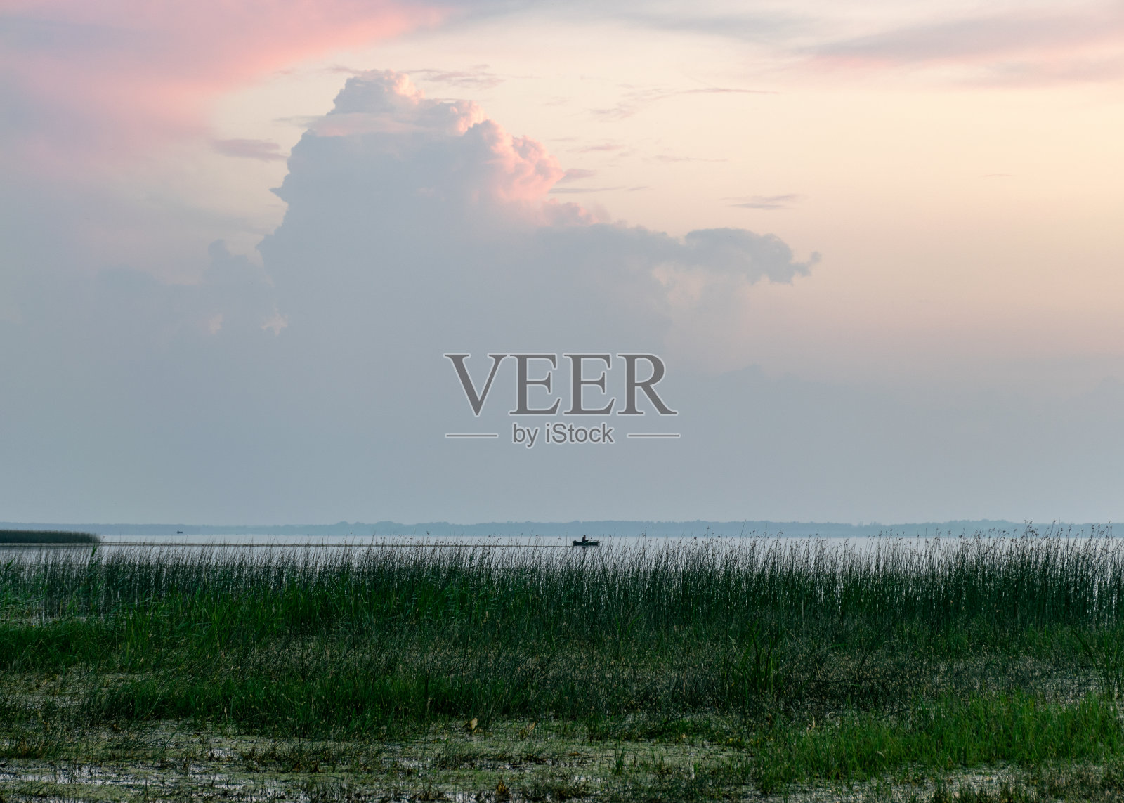 夏日的风景在黎明的湖岸，日出前天空的色彩，拉脱维亚的Burtnieki湖照片摄影图片