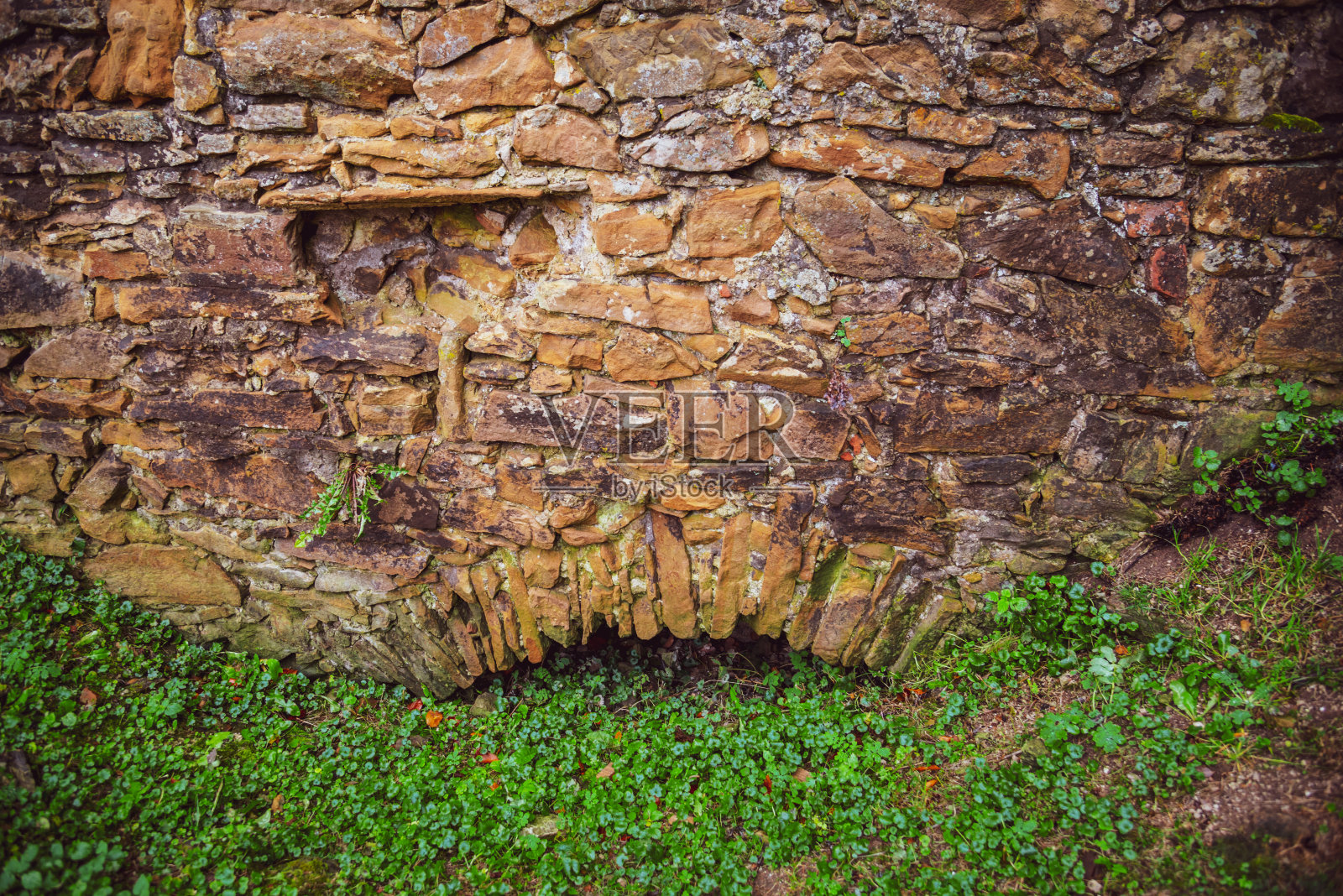 中世纪城堡Zborov的废墟，斯洛伐克。秋天的时间照片摄影图片