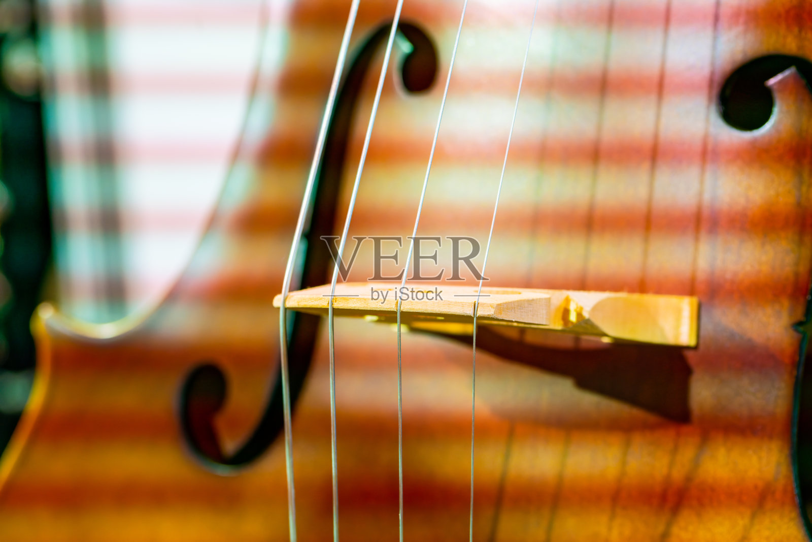 特写的小提琴照片摄影图片