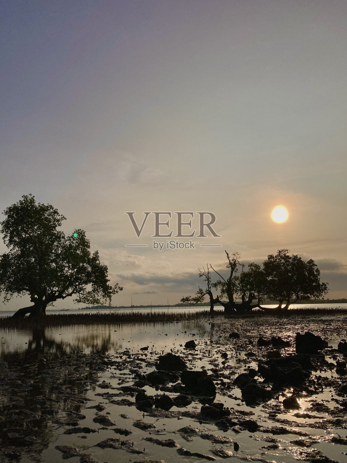 美丽的日落照片摄影图片