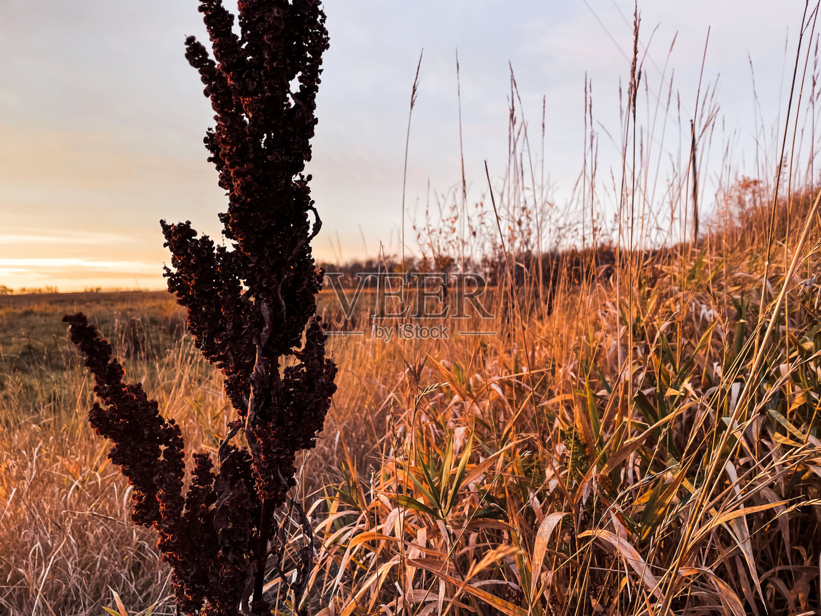 曼尼托巴草原的秋天日落照片摄影图片