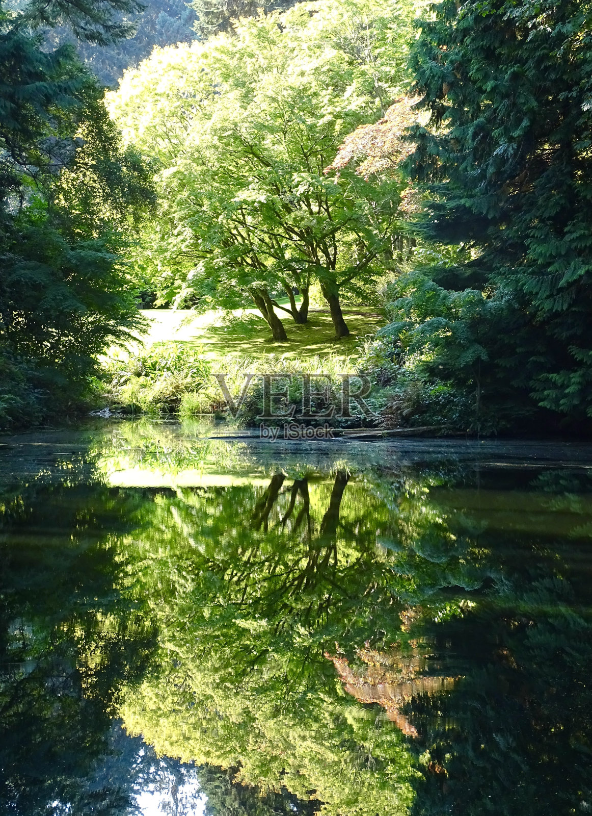 湖中倒影照片摄影图片
