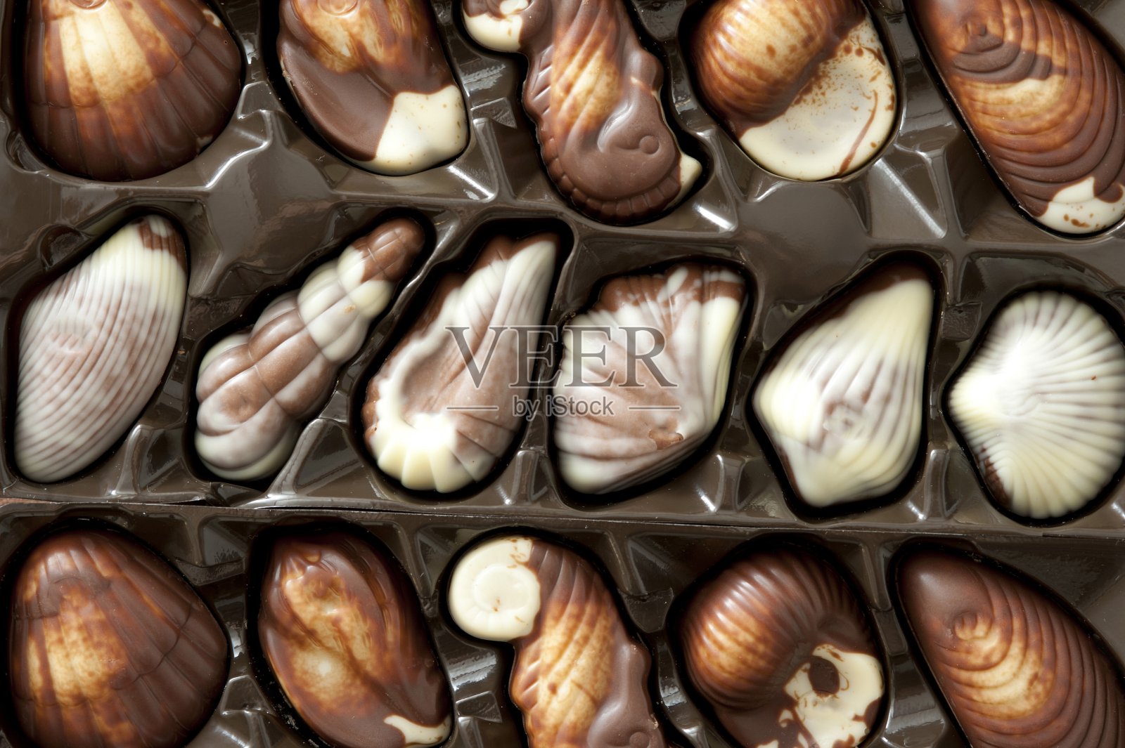 各种各样的贝壳形状的果仁糖照片摄影图片