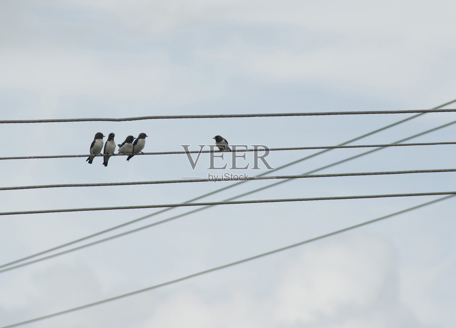 和解的概念照片摄影图片