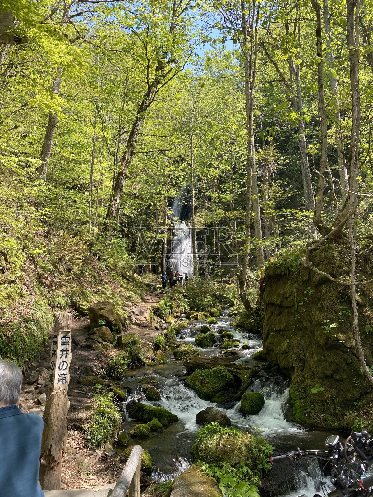早春的日本油濑溪照片摄影图片