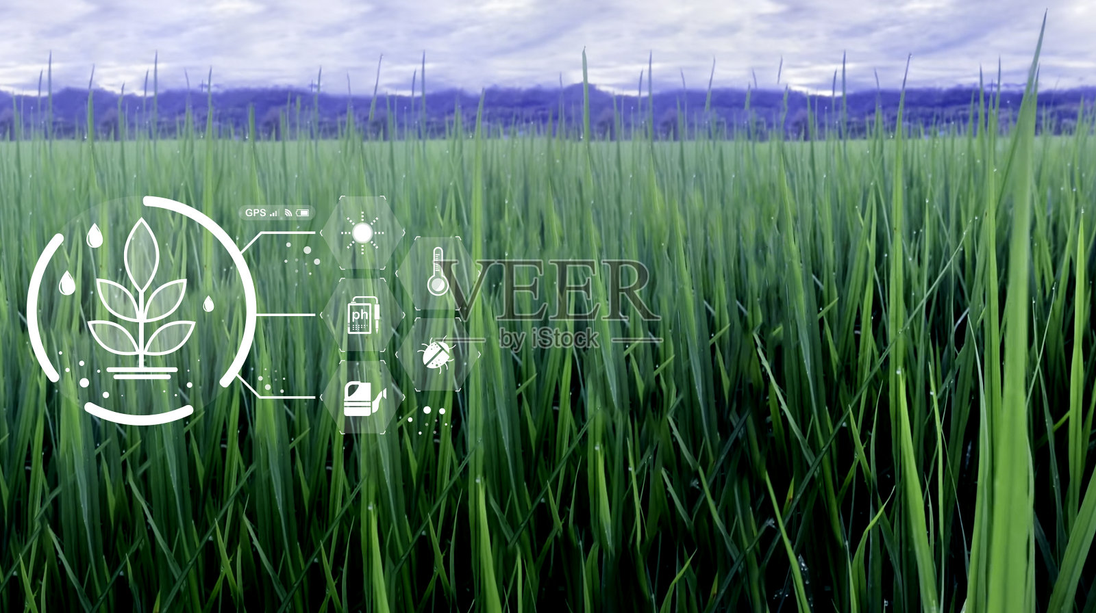 农业科技农民用片剂现代科技概念农业。照片摄影图片