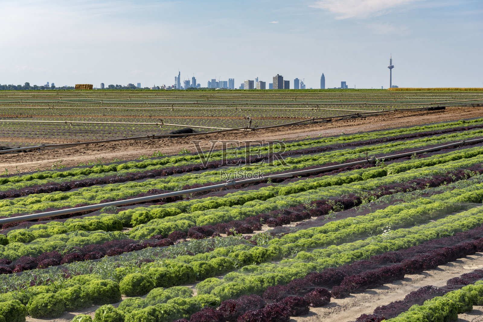 阿克照片摄影图片