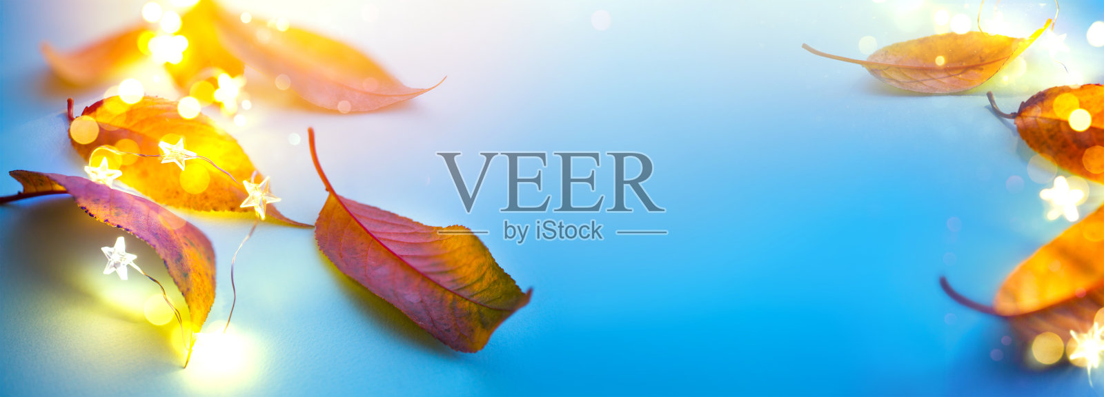 感恩节节日晚会背景，秋叶和节日灯光装饰照片摄影图片