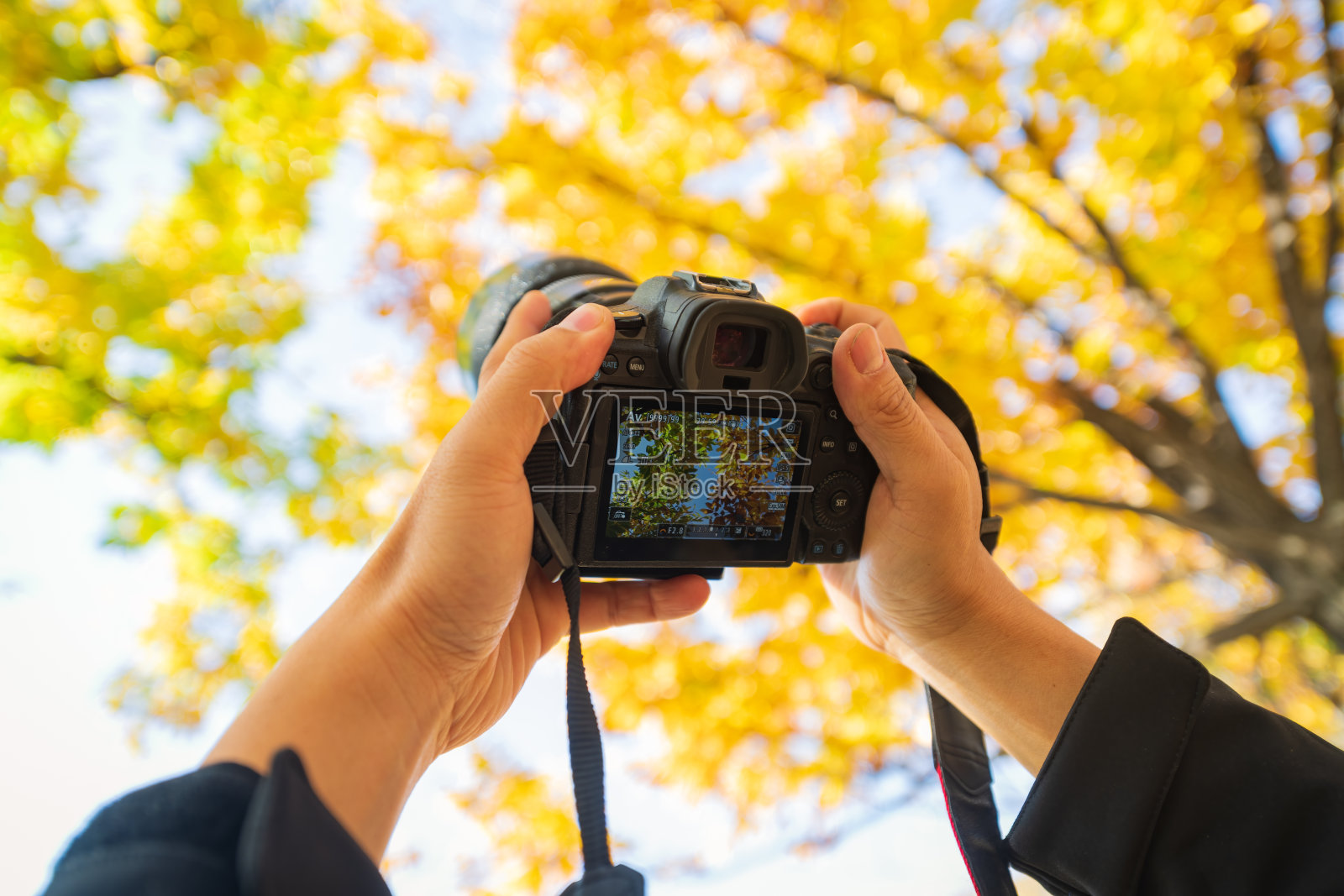 摄影师拿着相机拍摄秋天的森林照片摄影图片