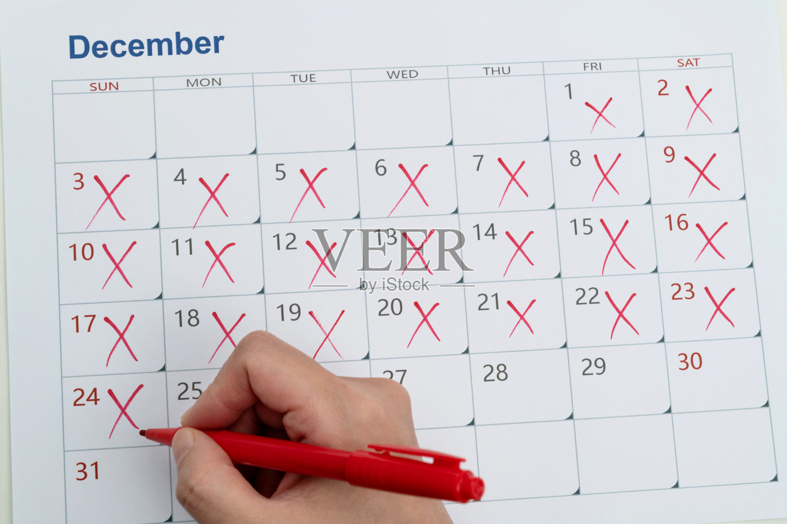 十字形日历页照片摄影图片