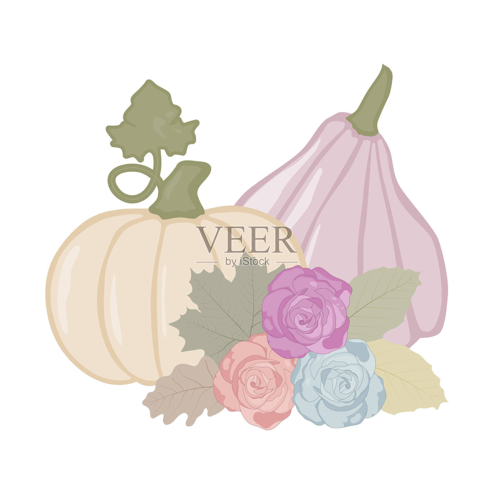 南瓜与秋叶和玫瑰插画图片素材