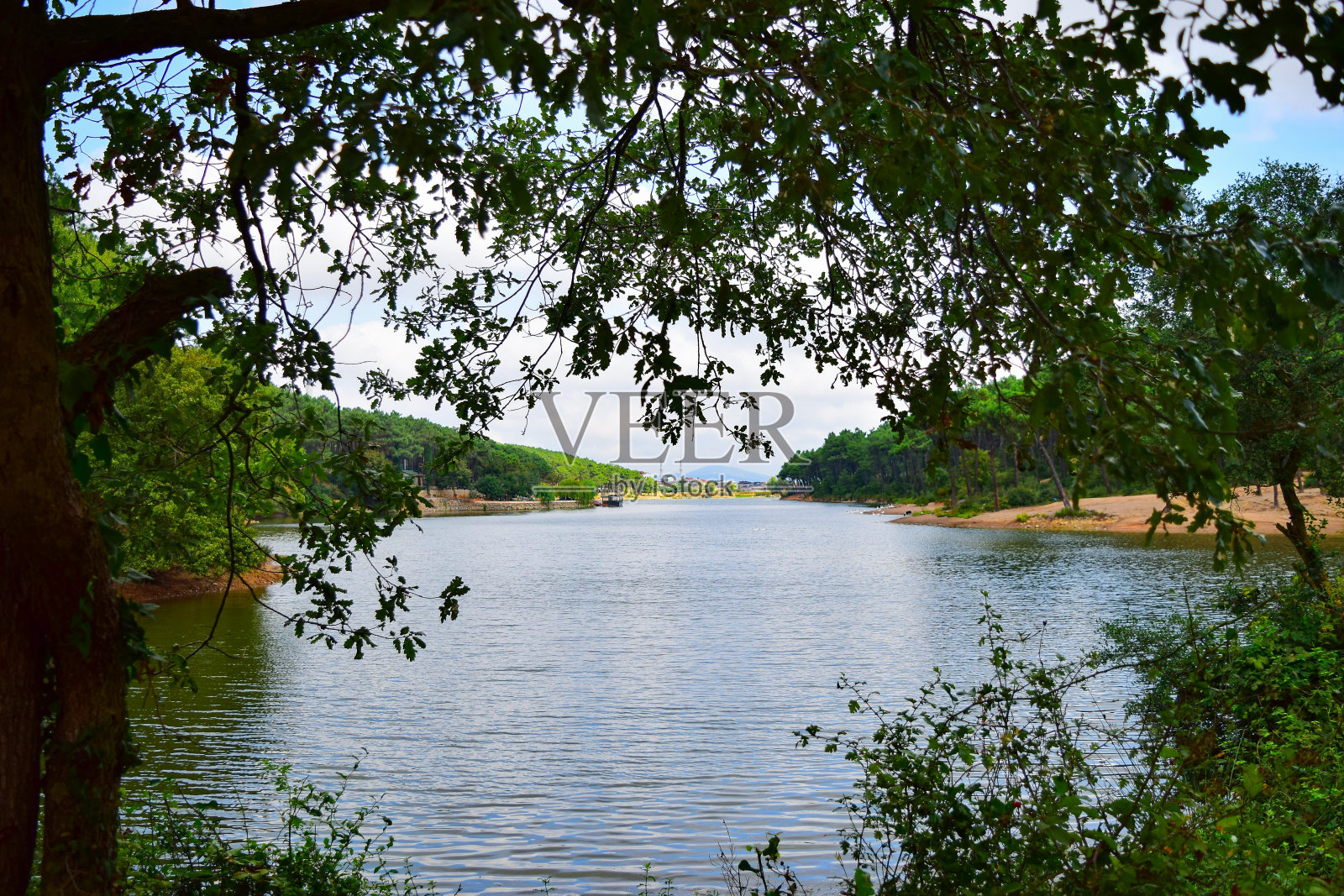 有绿树成荫的湖照片摄影图片