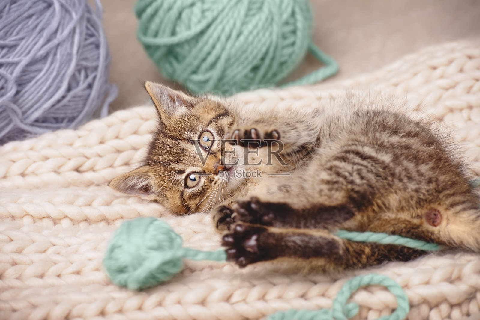 可爱的小猫看着镜头躺着玩纱线球。室内高角度景观。照片摄影图片