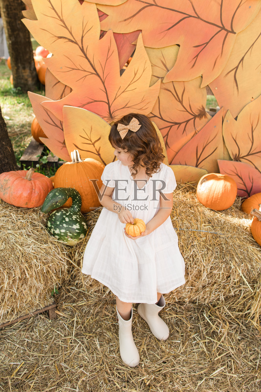 一个三岁的小女孩穿着白色的裙子，棕色的蝴蝶结和白色的雨靴在户外南瓜地里照片摄影图片