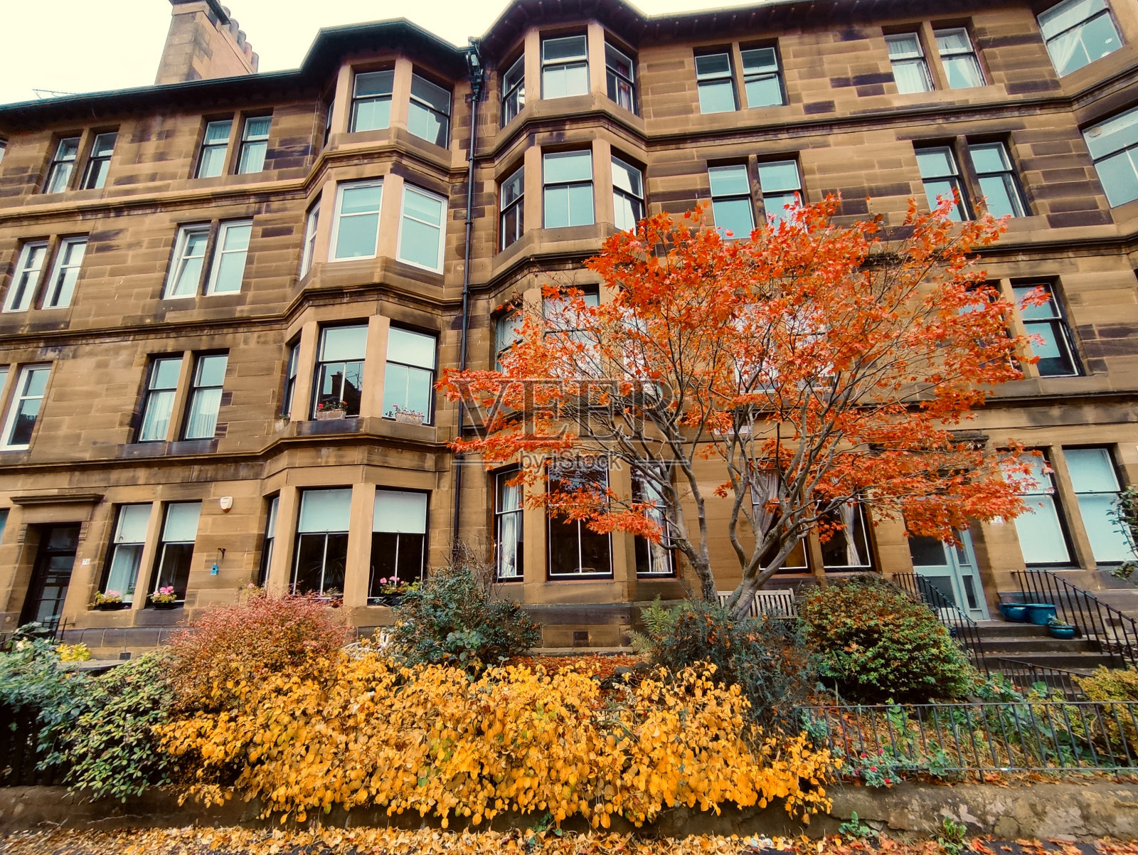 在英国苏格兰格拉斯哥的街道上，秋天里五颜六色的树叶照片摄影图片