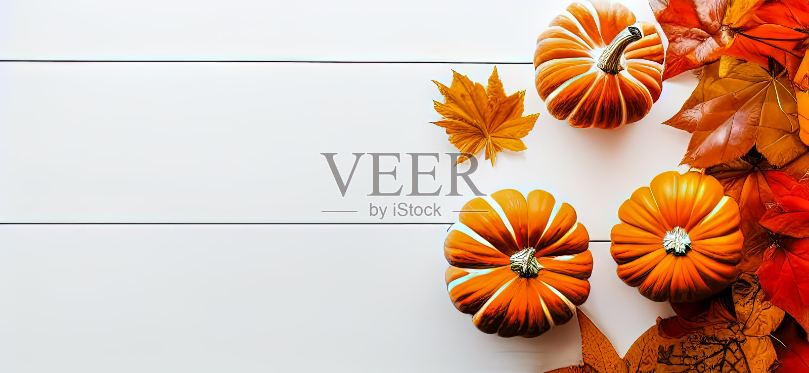 万圣节南瓜与秋季装饰叶子向下看白色地板照片摄影图片