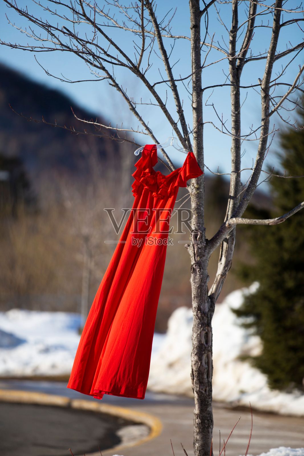 红色的裙子挂在光秃秃的树上，随风摇曳照片摄影图片