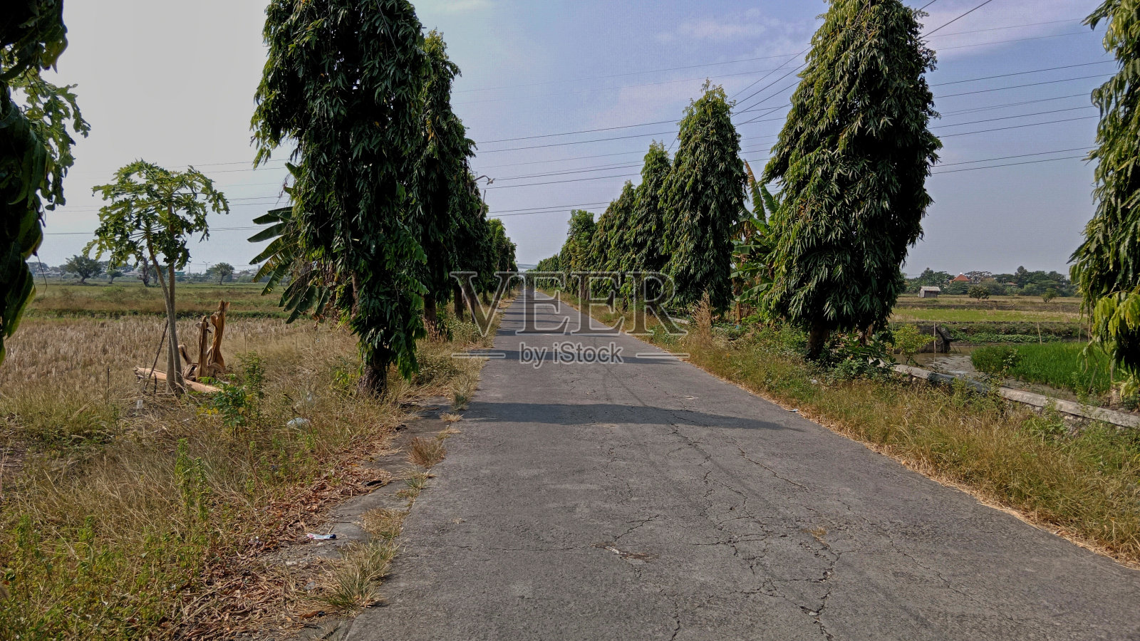 村路照片摄影图片